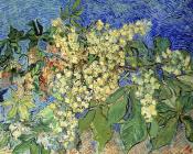 盛开着花朵的栗树枝 - 文森特·威廉·梵高